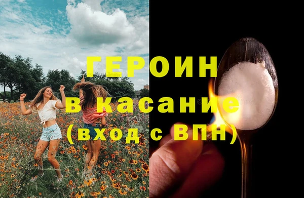 индика Лагань