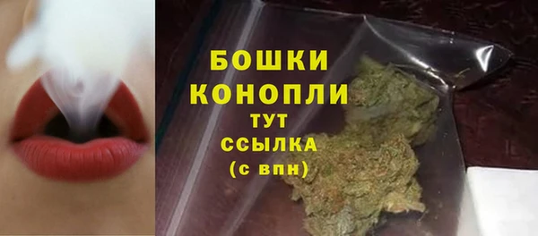 индика Лагань