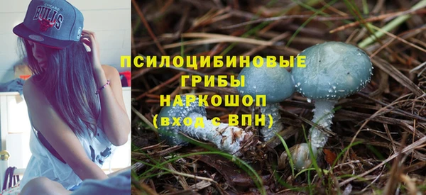 a pvp Кулебаки