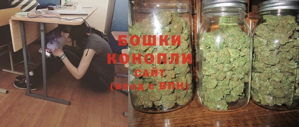 индика Лагань