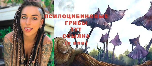 кокс Лабытнанги