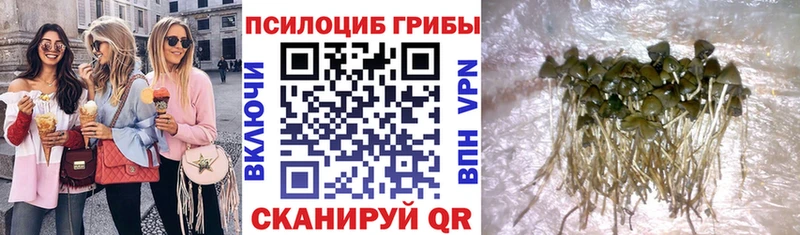 Галлюциногенные грибы прущие грибы  Медвежьегорск 
